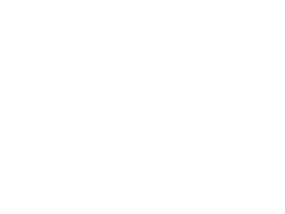 BERKLEY MEXICO Seguros RDS