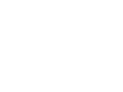 insignia life Seguros RDS